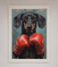 Sausage Dog Boxing Framed Print - Hi Society
