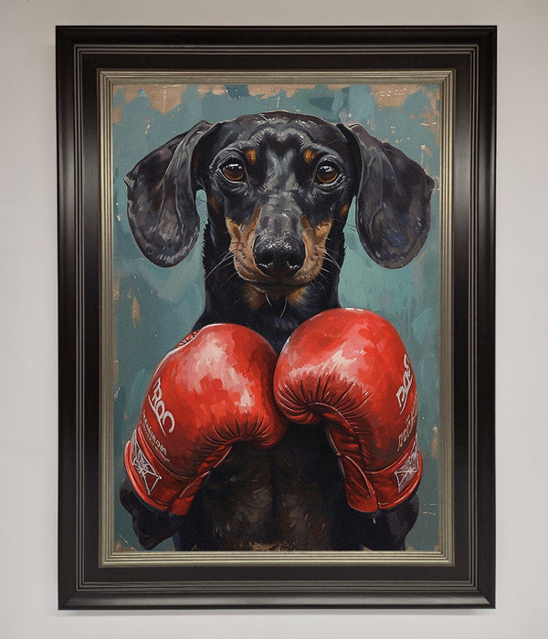 Sausage Dog Boxing Framed Print - Hi Society