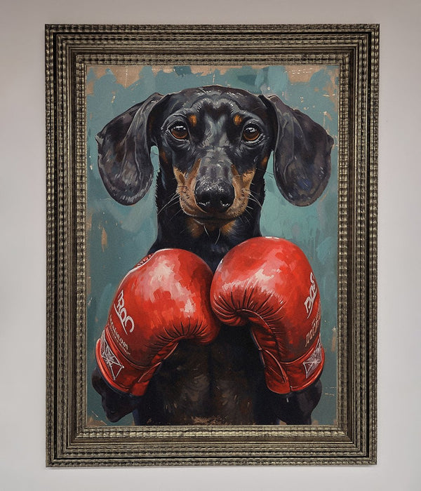 Sausage Dog Boxing Framed Print - Hi Society