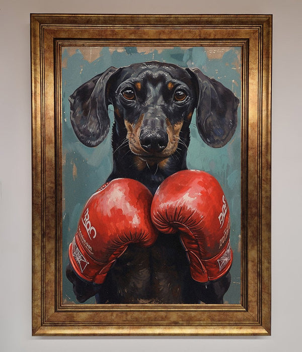Sausage Dog Boxing Framed Print - Hi Society