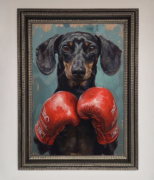 Sausage Dog Boxing Framed Print - Hi Society