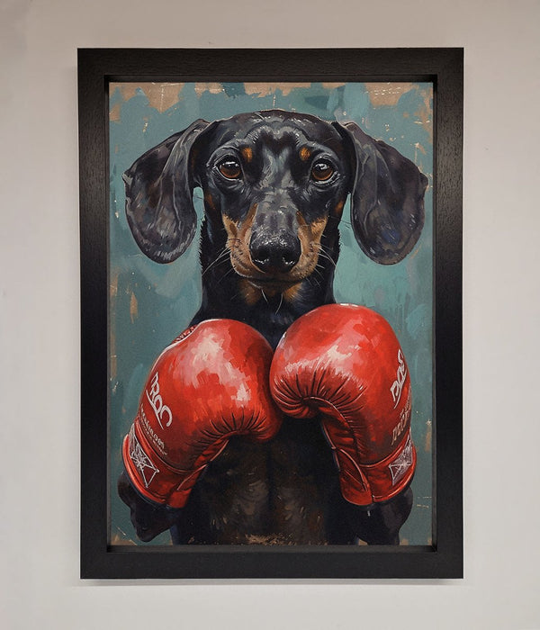 Sausage Dog Boxing Framed Print - Hi Society