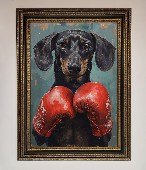 Sausage Dog Boxing Framed Print - Hi Society