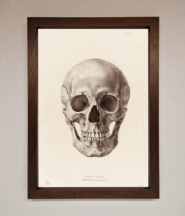 Skull Science Framed Poster - Hi Society