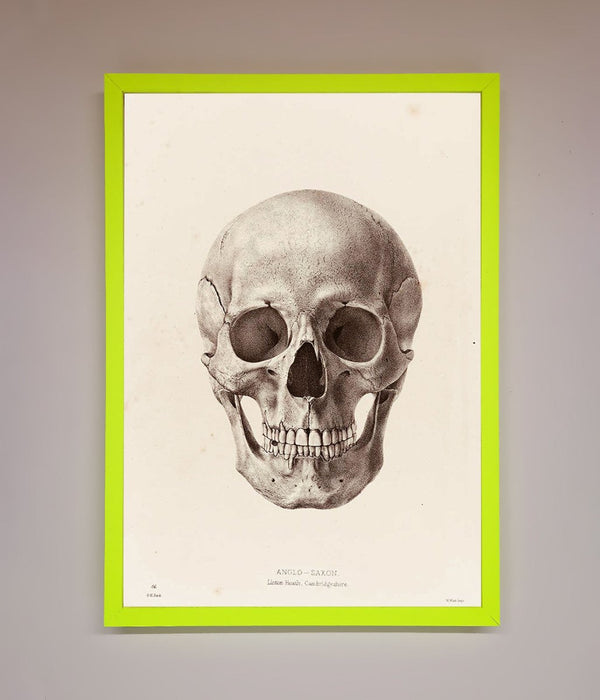Skull Science Framed Poster - Hi Society