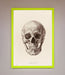 Skull Science Framed Poster - Hi Society
