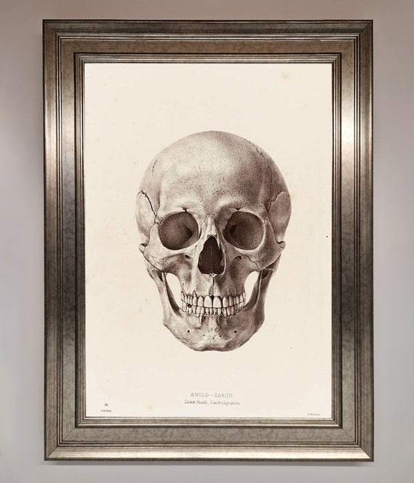 Skull Science Framed Poster - Hi Society