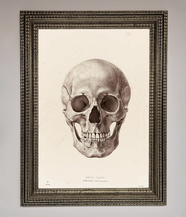 Skull Science Framed Poster - Hi Society