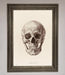 Skull Science Framed Poster - Hi Society