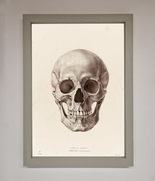 Skull Science Framed Poster - Hi Society