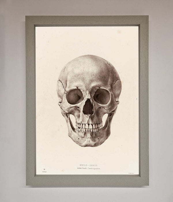 Skull Science Framed Poster - Hi Society
