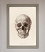 Skull Science Framed Poster - Hi Society