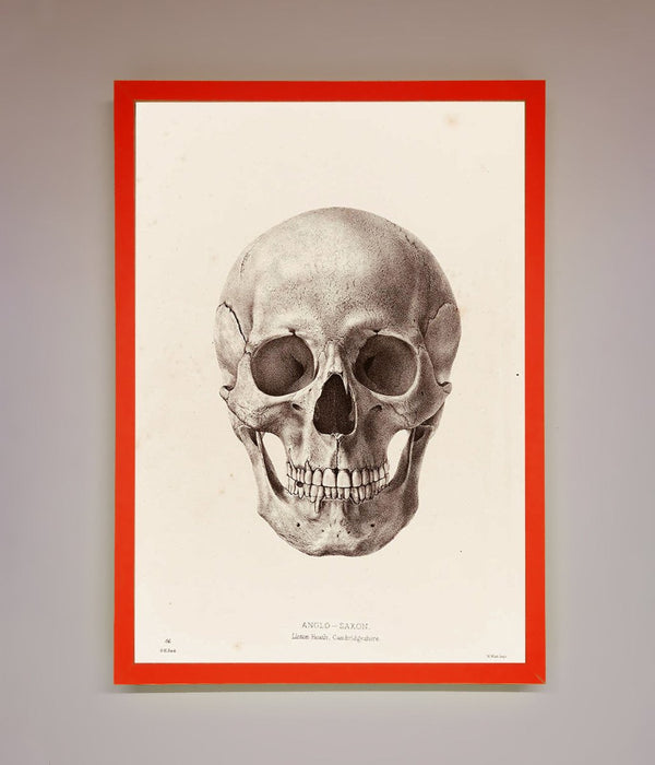 Skull Science Framed Poster - Hi Society