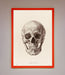 Skull Science Framed Poster - Hi Society