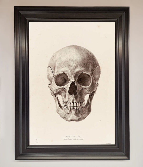 Skull Science Framed Poster - Hi Society