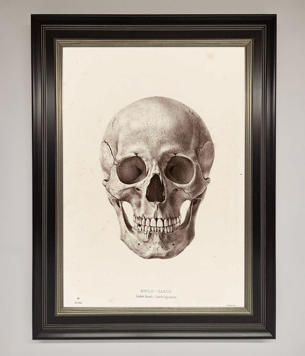 Skull Science Framed Poster - Hi Society