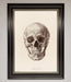 Skull Science Framed Poster - Hi Society