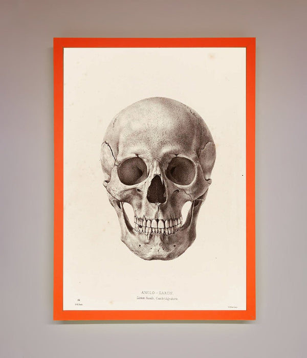 Skull Science Framed Poster - Hi Society