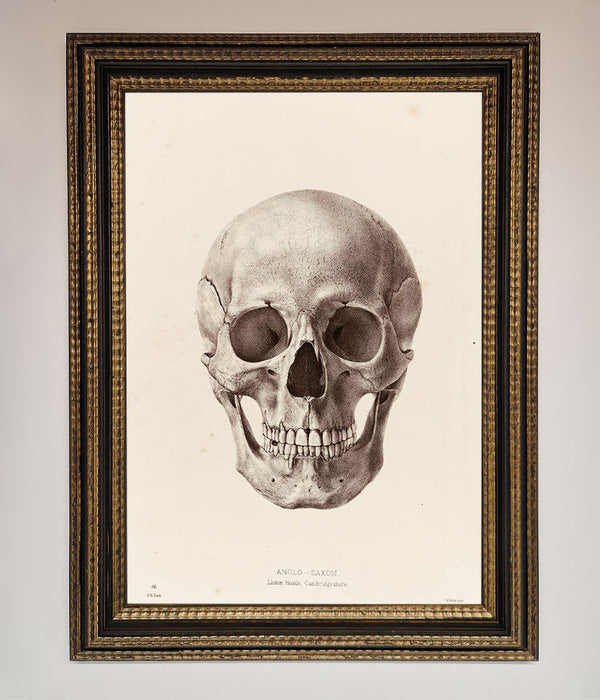 Skull Science Framed Poster - Hi Society