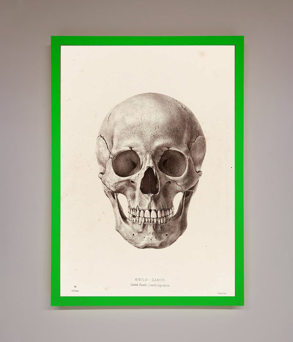 Skull Science Framed Poster - Hi Society