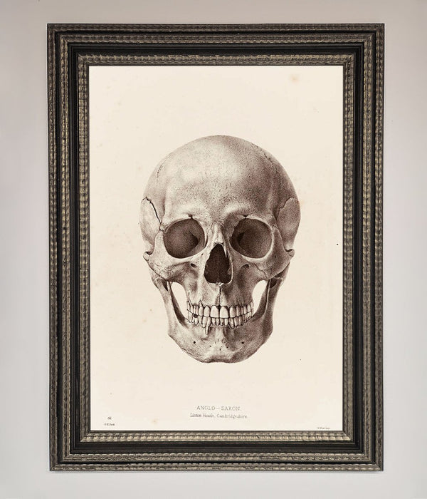 Skull Science Framed Poster - Hi Society