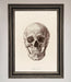 Skull Science Framed Poster - Hi Society