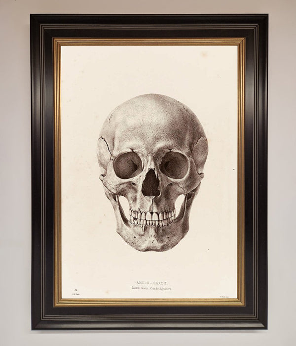 Skull Science Framed Poster - Hi Society