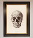 Skull Science Framed Poster - Hi Society
