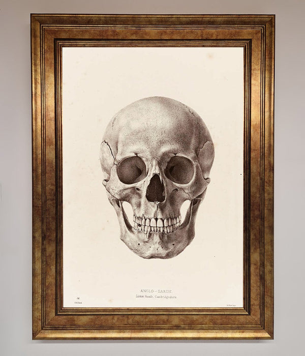 Skull Science Framed Poster - Hi Society
