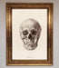 Skull Science Framed Poster - Hi Society