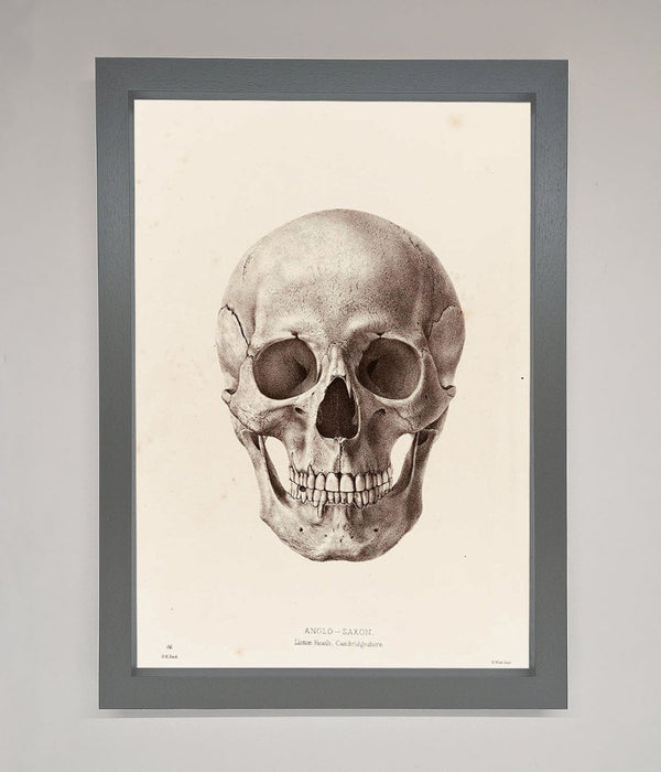 Skull Science Framed Poster - Hi Society