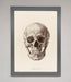 Skull Science Framed Poster - Hi Society