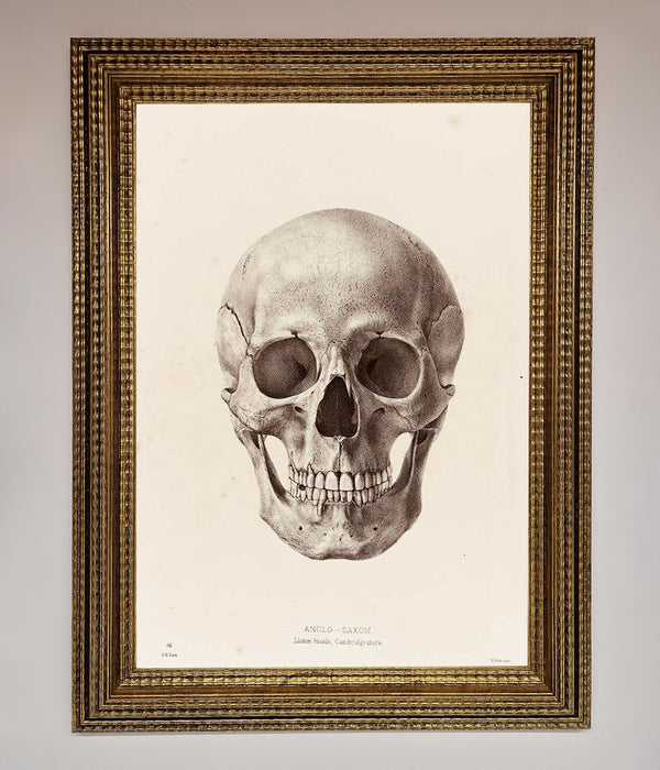 Skull Science Framed Poster - Hi Society