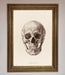 Skull Science Framed Poster - Hi Society