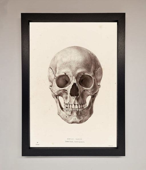 Skull Science Framed Poster - Hi Society