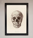 Skull Science Framed Poster - Hi Society