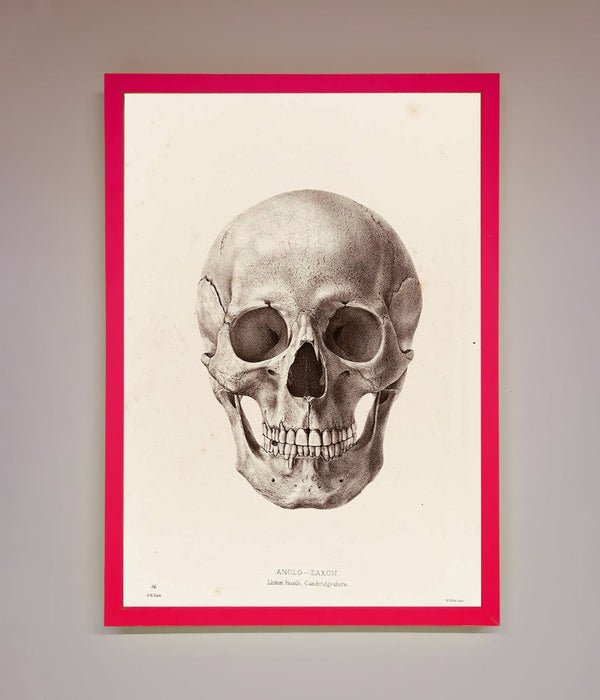 Skull Science Framed Poster - Hi Society