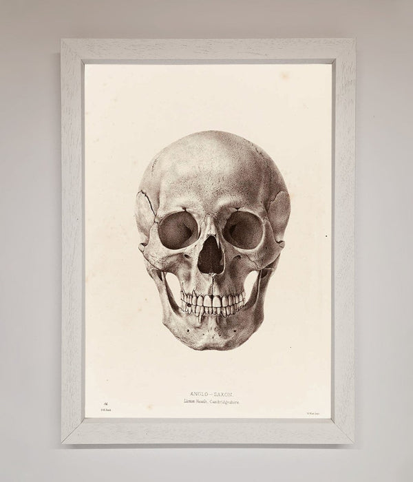 Skull Science Framed Poster - Hi Society