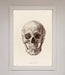 Skull Science Framed Poster - Hi Society