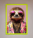 Sloth With Sunglasses Framed Poster - Hi Society
