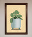Striped Potted Plant Framed Wall Art - Hi Society