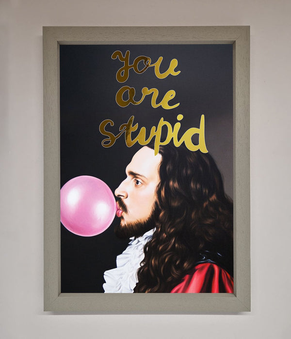 You Are Stupid Foil Print - Hi Society