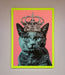Your Majesty Cat Framed Print - Hi Society